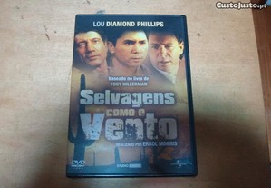 Dvd original Selvagens como o vento selado e raro