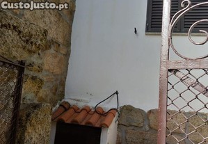 imagem_12