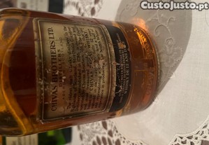 imagem_6