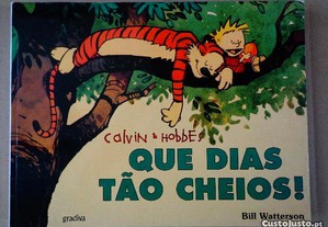 Livro Calvin & Hobbes - Que dias tão cheios