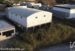 imagem_5