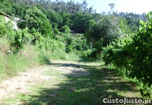 imagem_6