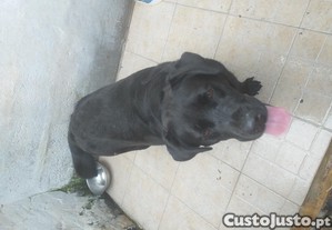 imagem_3