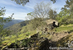 imagem_12
