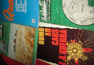 imagem_3