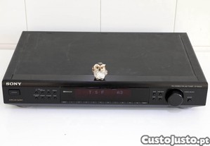 imagem_7