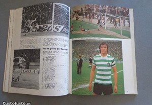imagem_5