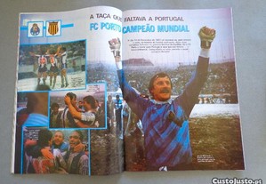 imagem_7