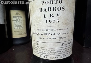 imagem_3