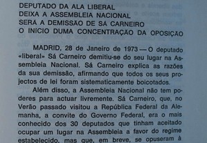 imagem_8