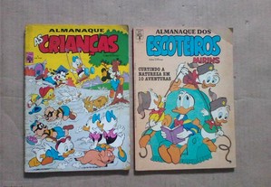imagem_3