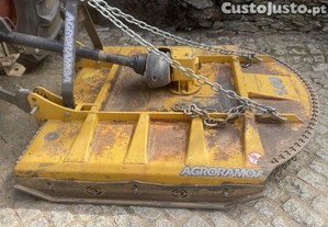 imagem_2