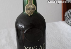 imagem_2