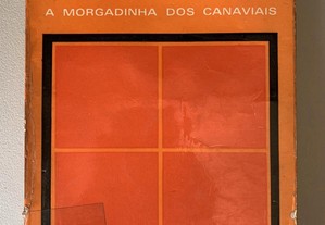 A Morgadinha dos Canaviais, de Júlio Dinis