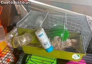 Hamster com gaiola