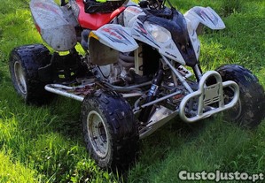 Polaris Predator 500