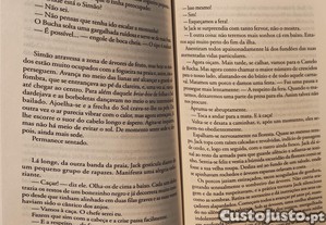 imagem_3