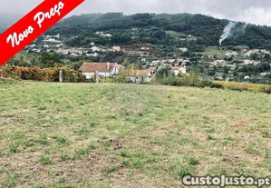 Terreno Destinado A Agricultura.