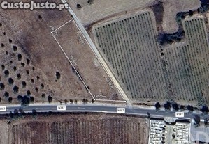 Terreno Agrícola em Vila de Frades