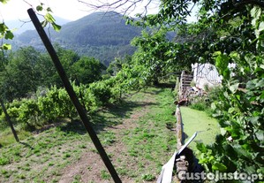 imagem_7