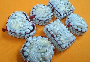 Caixa com conchas do mar 8x4,5cm