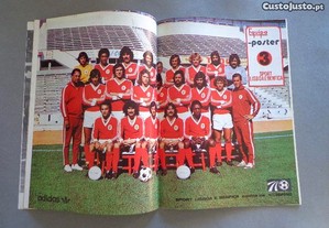 imagem_5