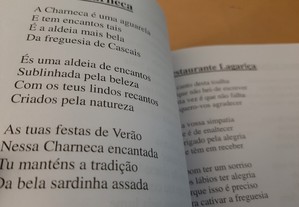 imagem_12