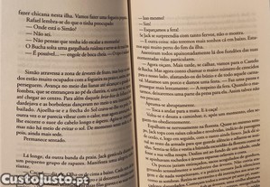 imagem_4