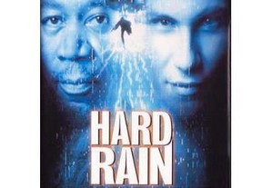 imagem_7