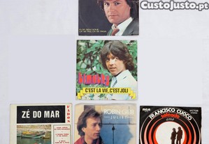 imagem_1