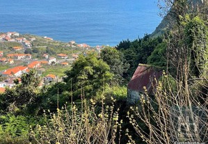Terreno Rústico Na Ponta Delgada - Ilha Da Madeira