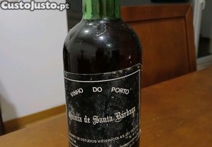 imagem_1