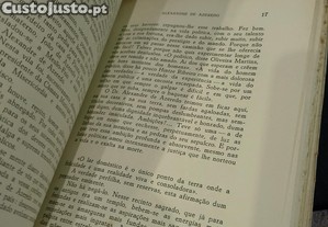 imagem_7
