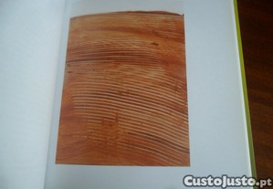 imagem_8