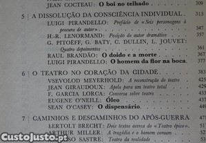imagem_8
