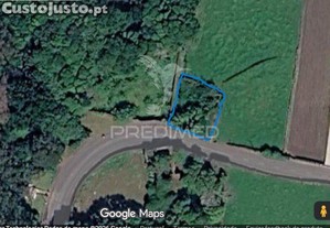 Terreno/pomar