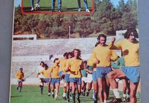 imagem_2