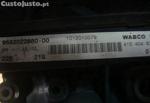 imagem_11