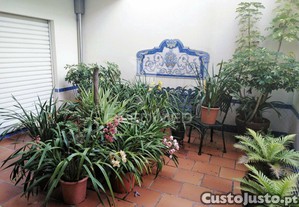 imagem_30