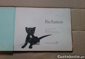 imagem_4