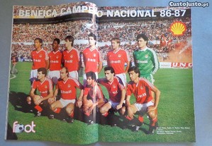 imagem_6