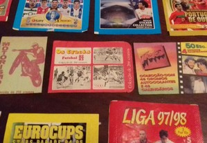 imagem_5