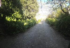 imagem_32