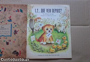 imagem_3