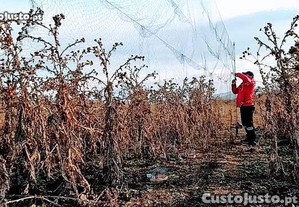 Redes para Proteção de Cultivos Resistentes ( Fio Multifilamento ) Invisíveis