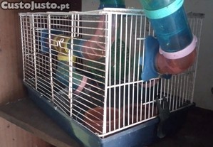 Gaiola para hamster