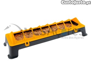 imagem_1