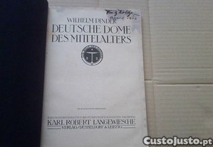imagem_4