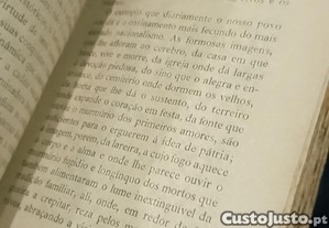 imagem_10