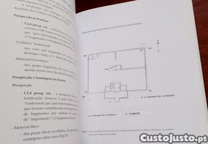 imagem_8